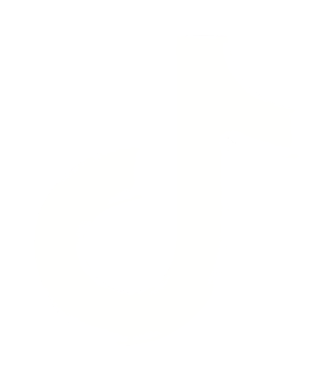 tiktok icon