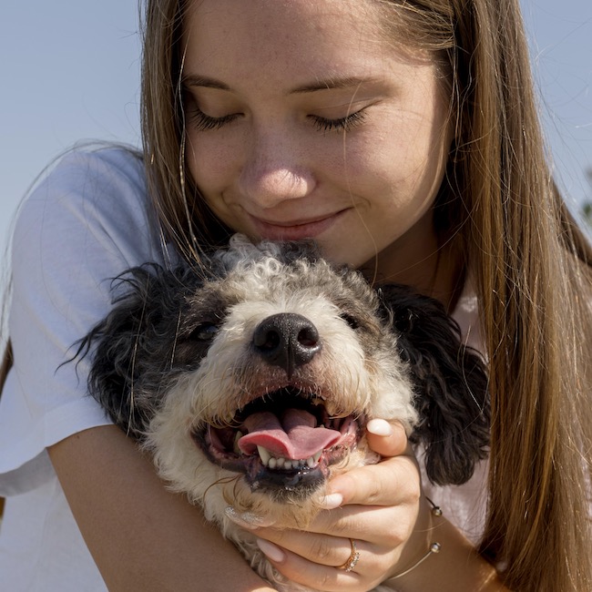 Cómo el voluntariado puede cambiar la vida de los animales en refugios