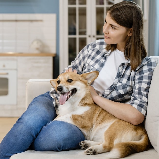 Cómo preparar tu hogar para una nueva mascota